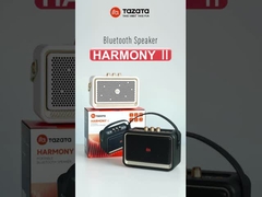 Leve a festa ao ar livre com 22 * 10 * 17,5cm caixa de música sem fio ao ar livre 1,86 Kgs Design leve